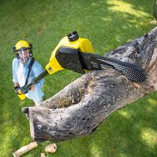 Professional Tree Services in Swepsonville, NC